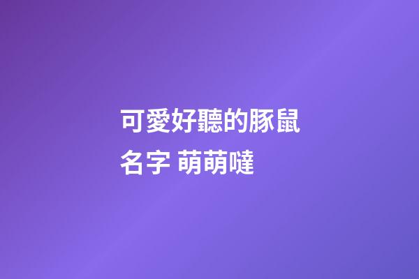 可愛好聽的豚鼠名字 萌萌噠